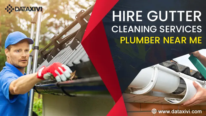 Gutter Cleaning in Holland