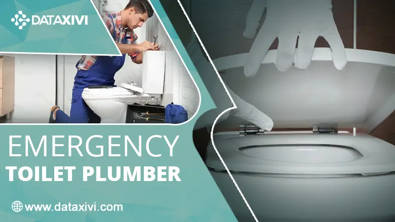 Emergency Toilet Cleaning Plumber