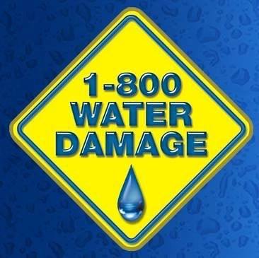 1-800 Water Damage: Home Repair and Maintenance Services in Hague