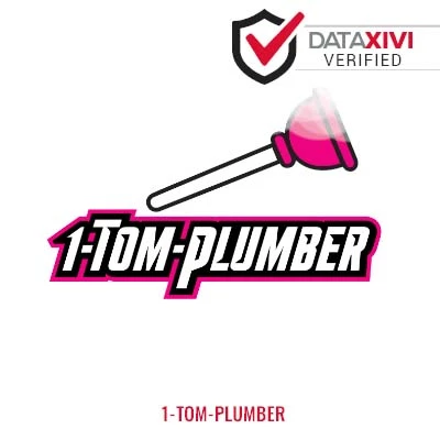 1-Tom-Plumber: Timely Handyman Solutions in La Belle