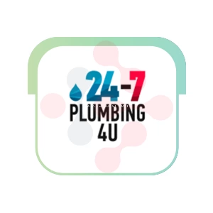 24/7 Drain Cleaning LLC: Reliable Housekeeping Solutions in Mount Prospect
