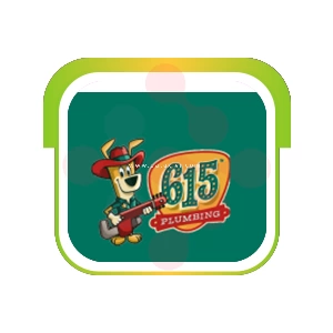 615 Plumbing: Reliable Drain Inspection Services in Honeydew