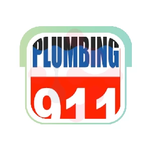 911 Plumbing: Sink Replacement in Caryville