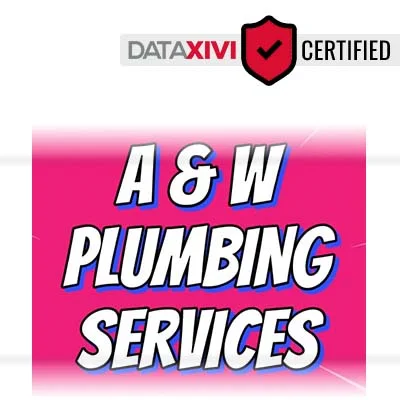 A & W PLUMBING SERVICES LLC: Faucet Maintenance and Repair in Du Bois