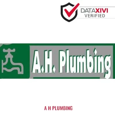 A H Plumbing - DataXiVi