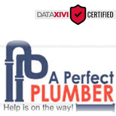 A Perfect Plumber LLC: Sink Troubleshooting Services in Warsaw