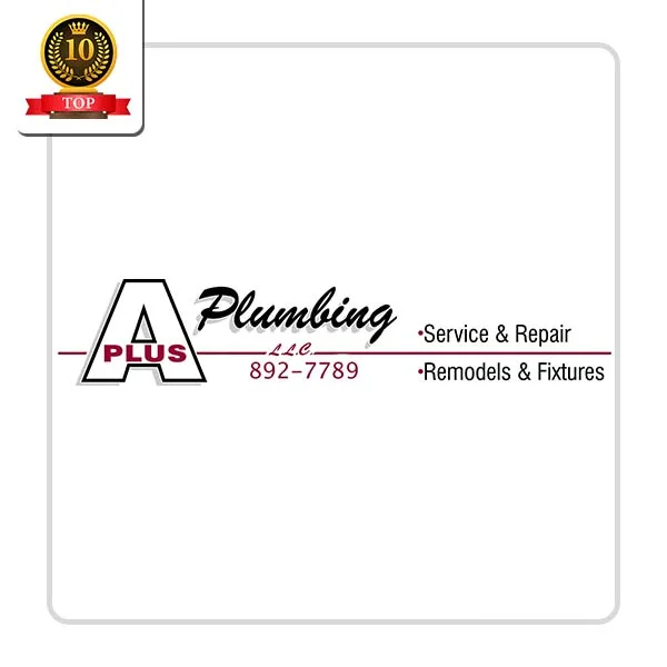 A Plus Plumbing LLC: Housekeeping Solutions in Onaka