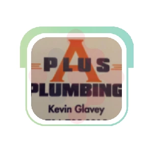 A-Plus Plumbing Plumber - DataXiVi
