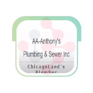AA-Anthonys Inc: Reliable Sink Plumbing Setup in Kansas