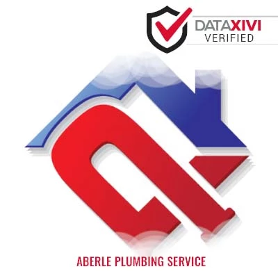 Aberle Plumbing Service: Video Camera Drain Inspection in Liverpool