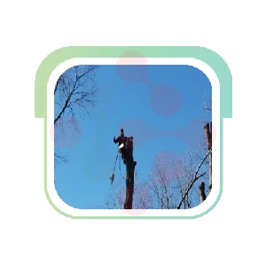 Abraham Tree Service: Hydro Jetting Specialists in Waynesville