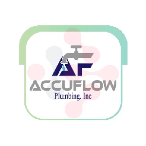 AccuFlow Plumbing, Inc: HVAC Repair Specialists in King Salmon