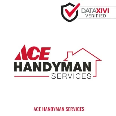 ACE Handyman Services Plumber - DataXiVi