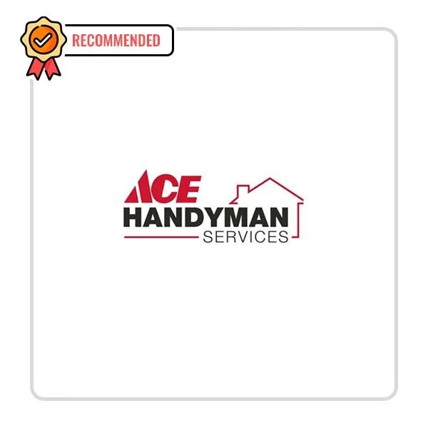 ACE Handyman Services of Kansas City: Dishwasher Fixing Solutions in Fithian
