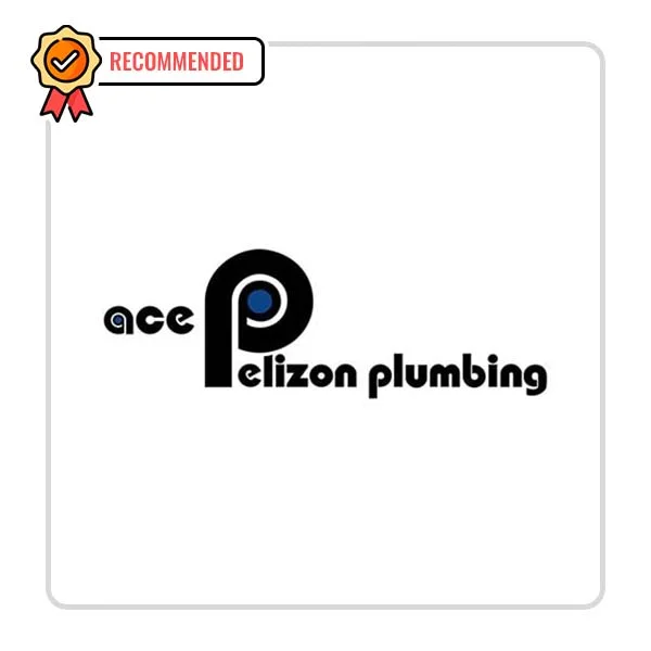 Ace Pelizon Plumbing: Fireplace Troubleshooting Services in Enigma