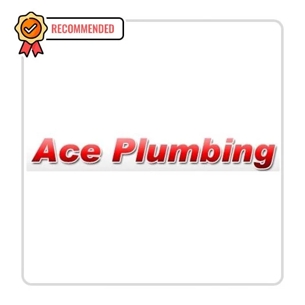 Ace Plumbing LLC: Home Repair and Maintenance Services in Bagley