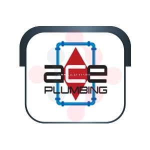 Ace Plumbing: Expert Septic System Repairs in Arlington
