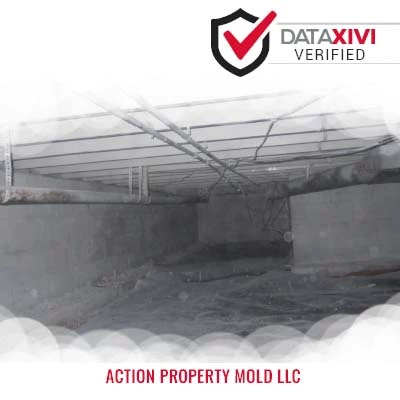 Action Property Mold LLC: Heating and Cooling Repair in Bonanza