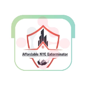 Affordable NYC Exterminators: Efficient Faucet Troubleshooting in Potomac