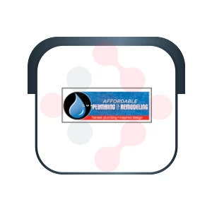 Affordable Plumbing & Remodeling: Expert Leak Repairs in Morrisonville