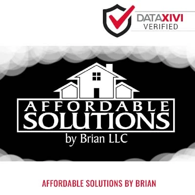 Affordable Solutions By Brian Plumber - DataXiVi
