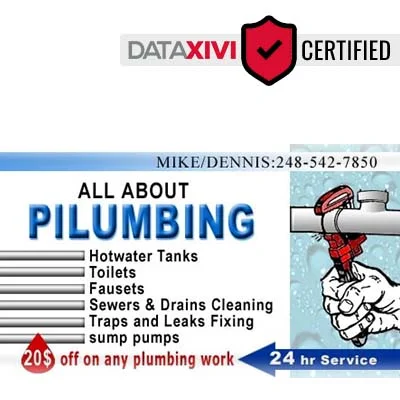 ALL ABOUT PLUMBING - DataXiVi