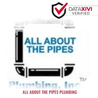 All About The Pipes Plumbing: Drain and Pipeline Examination Services in Rochester