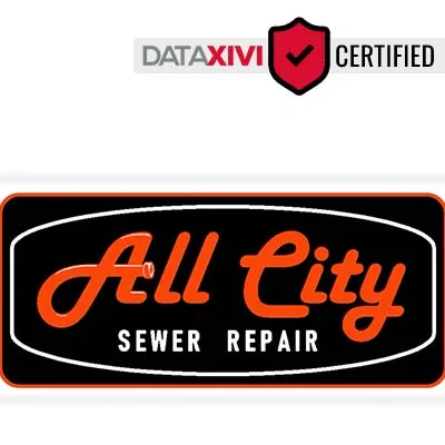 All City Sewer Repair - DataXiVi