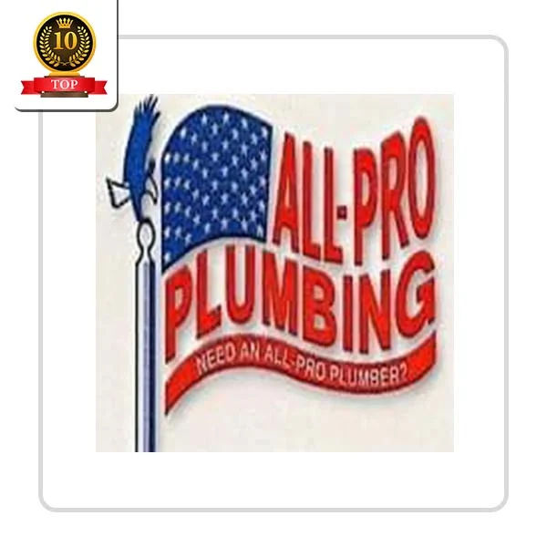 ALL PRO PLUMBING: Video Camera Drain Inspection in Meade