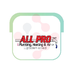 All Pro Plumbing Heating And Air: Gas Leak Detection Specialists in Sterling Forest