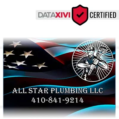 All Star Plumbing LLC - DataXiVi