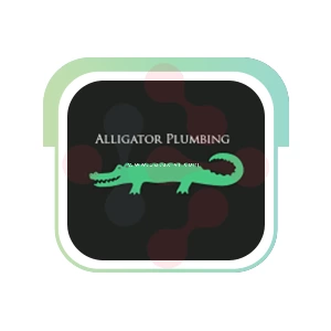 Alligator Plumbing: Expert Gutter Cleaning Services in Saint Albans