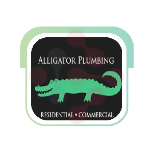 Alligator Plumbing - DataXiVi
