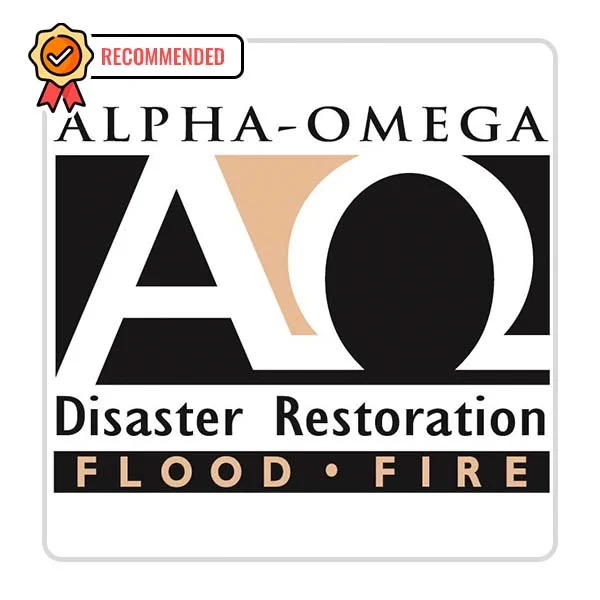 Alpha-Omega Disaster Restoration: Shower Fixture Setup in Roxana