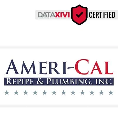 Ameri-Cal Repipe & Plumbing: Gutter Maintenance and Cleaning in Blaine