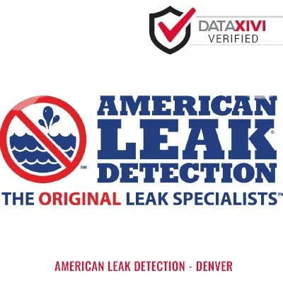 American Leak Detection - Denver - DataXiVi
