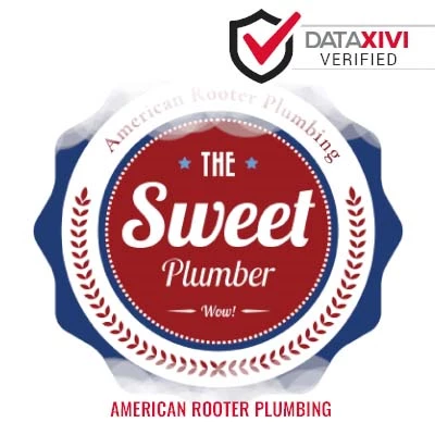 American Rooter Plumbing - DataXiVi