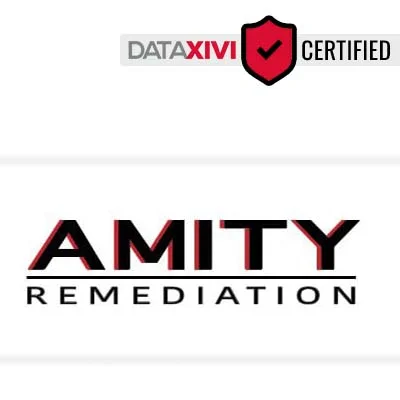 Amity Remediation LLC: Timely Dishwasher Problem Solving in Lantry