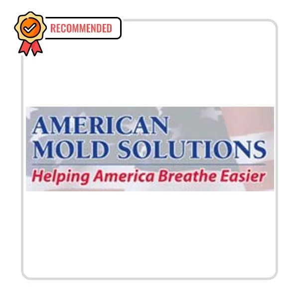 AMS Restoration/American Mold Solutions LLC: Handyman Solutions in Marshall