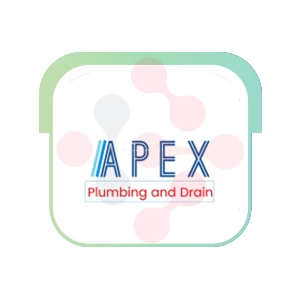 Apex Plumbing and Drain: Expert Sink Repairs in Normangee