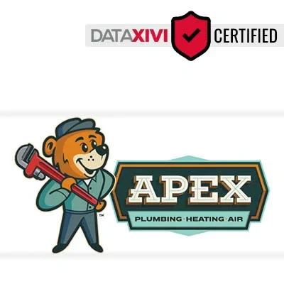 Apex Plumbing, Heating and Air Pros: Under-Sink Filter Fitting in Hermitage