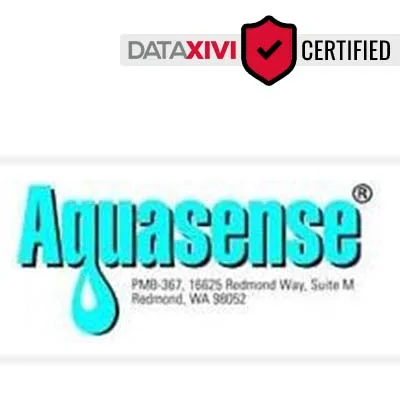 AQUASENSE: Sink Troubleshooting Services in Pineola