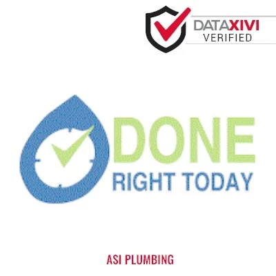 ASI Plumbing: Septic Tank Pumping Solutions in Mount Clemens