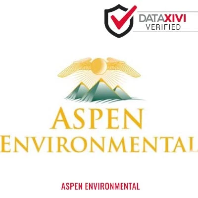 Aspen Environmental: Reliable Boiler Maintenance in Steward
