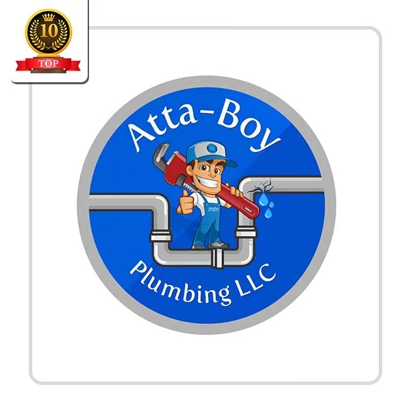 Atta-Boy Plumbing LLC: Bathroom Drain Clog Removal in Carpio