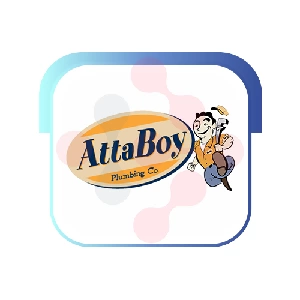 Attaboy Plumbing Company: Dishwasher Repair Specialists in Selman City