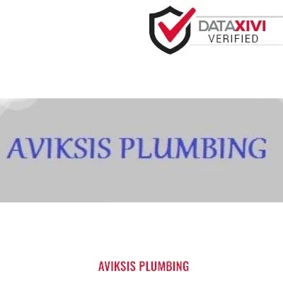 Aviksis Plumbing: Toilet Fitting and Setup in Atalissa