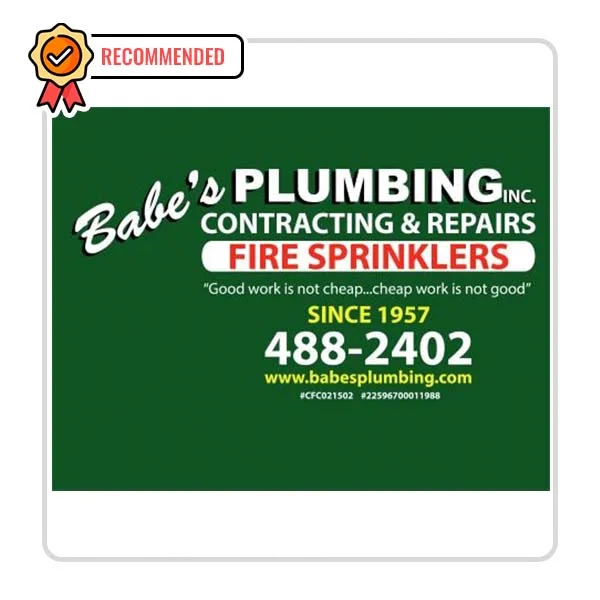 Babes Plumbing Inc: Dishwasher Fixing Solutions in Erwin