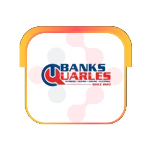 Banks Quarles - DataXiVi