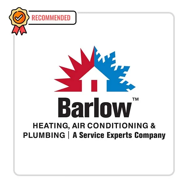 Barlow Service Experts: Inspection Using Video Camera in Hurley